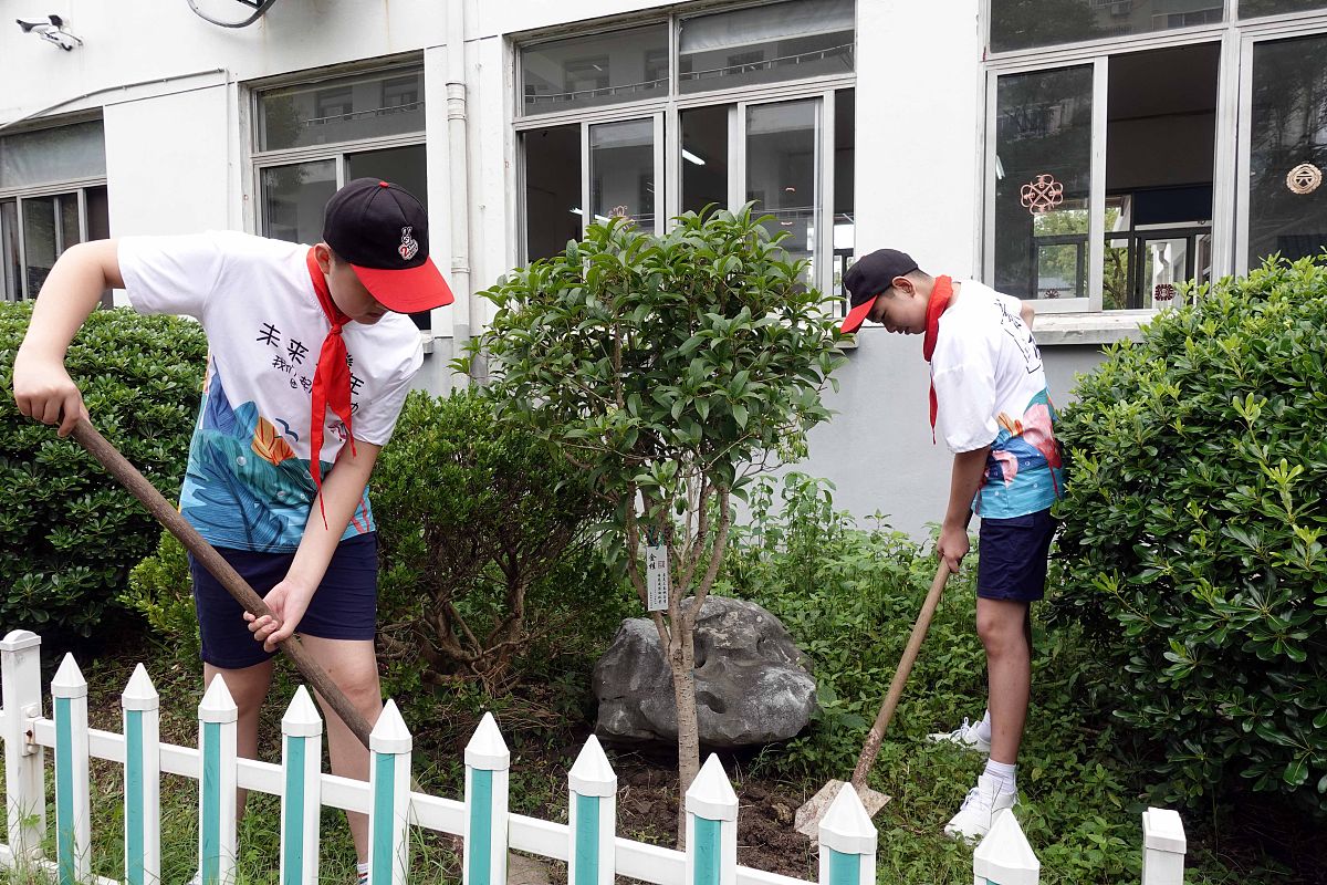 致2053年母校：来自过去学子的期盼