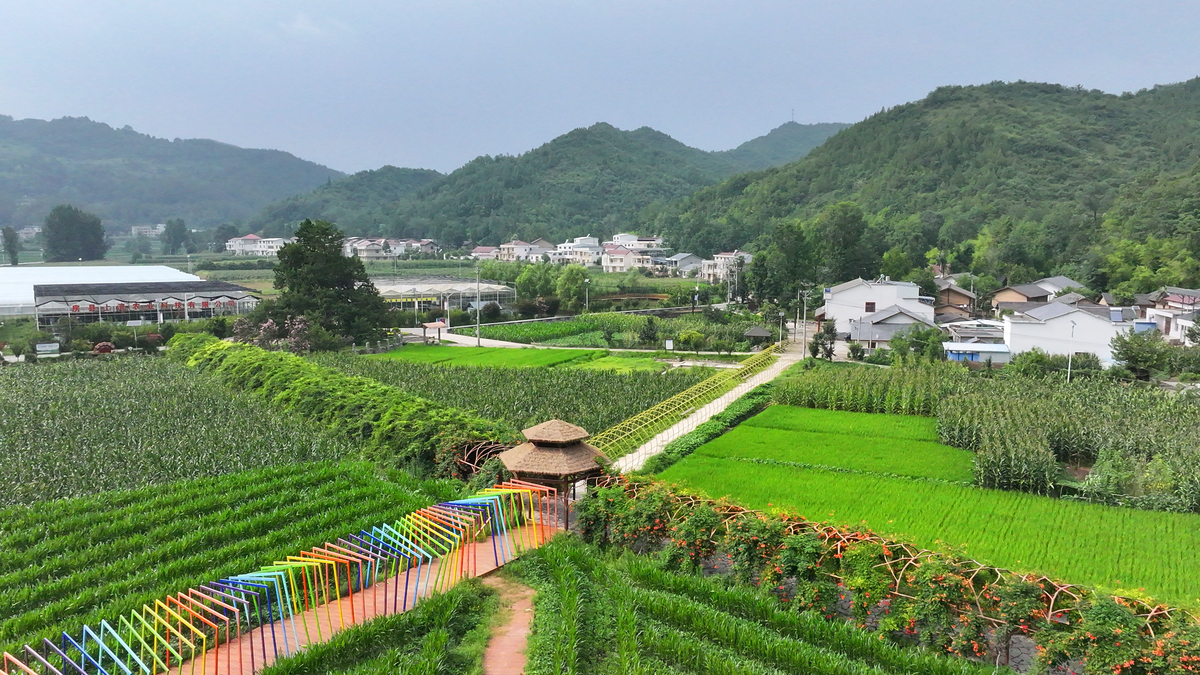 英才兴‘宣’，红旅产业助力乡村振兴：宣城校区英语系暑期“三下乡”社会实践团队调研广德红旅产业与乡村振兴融合情况