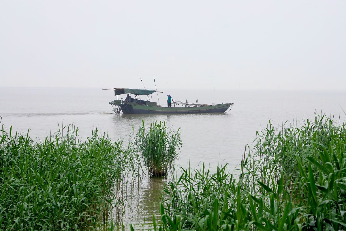 介绍一下焦家湾