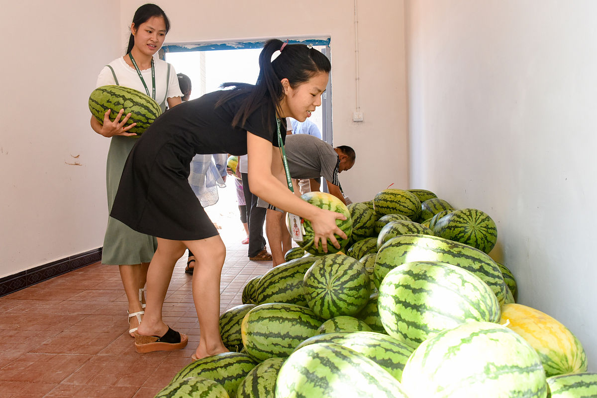 江西科技职业学院软件技术专业怎么样