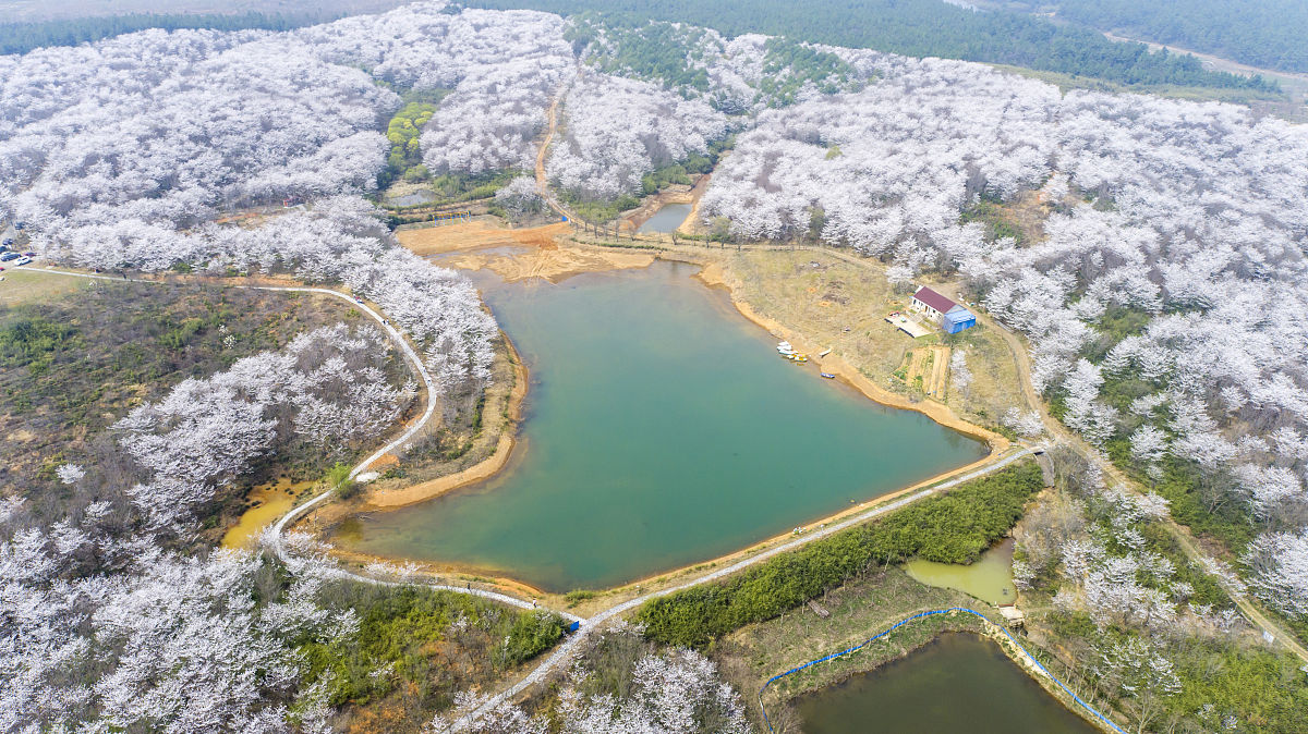 2022宣城旅游学校招生简章
