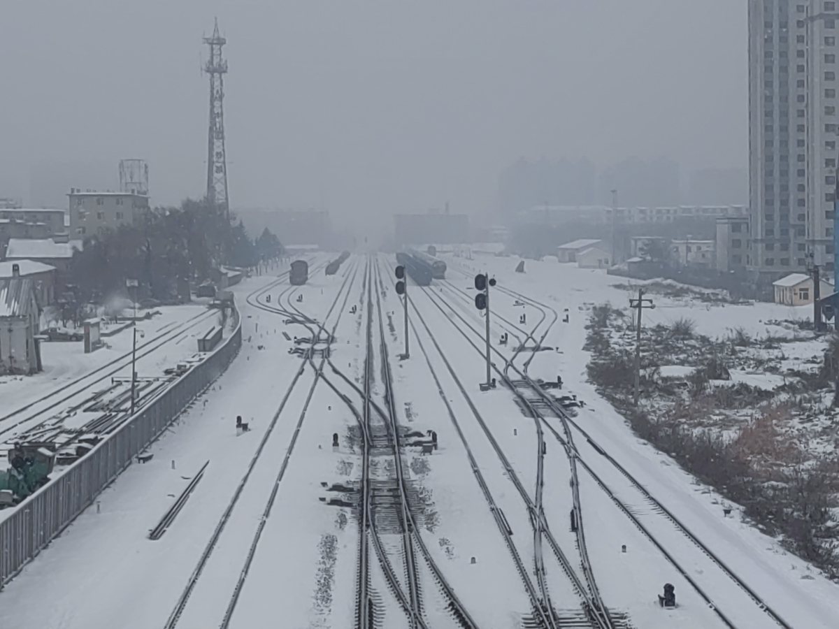 河南多地鹅毛大雪##鹅毛大雪#