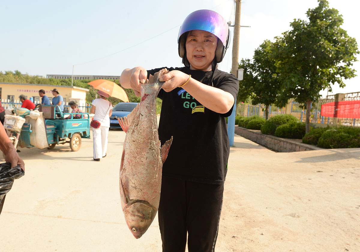 5斤水等于多少毫升？详细计算方法！