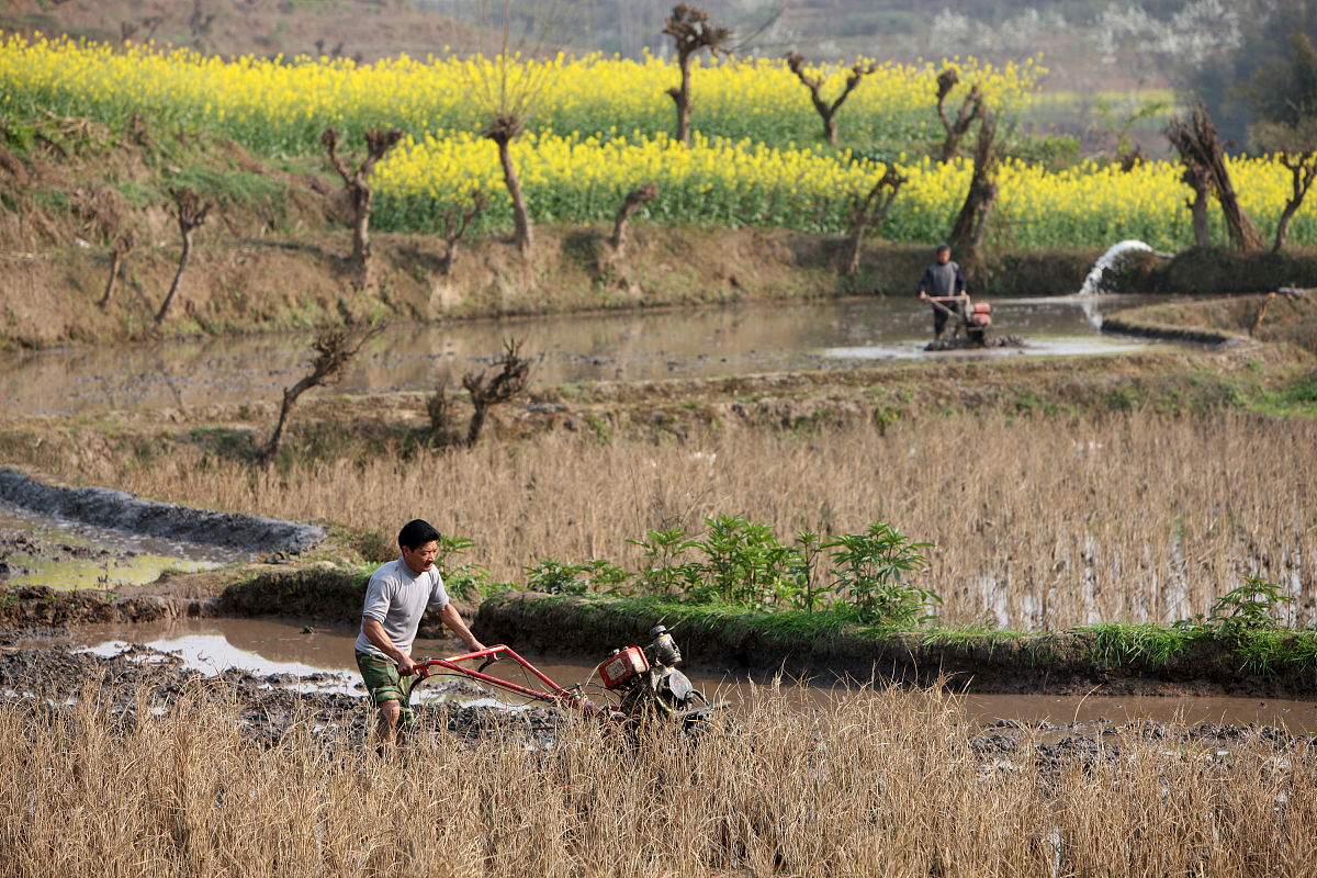 四川宜宾南溪职业技术学校2022年招生条件及报名流程