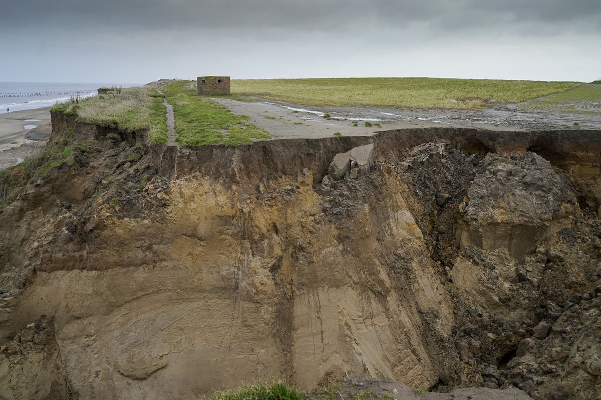 翻译下面的话：Despite ambitions to stabilize the African rice system the role of climate-driven anomalies in future rice yields in Africa at present is not well understood