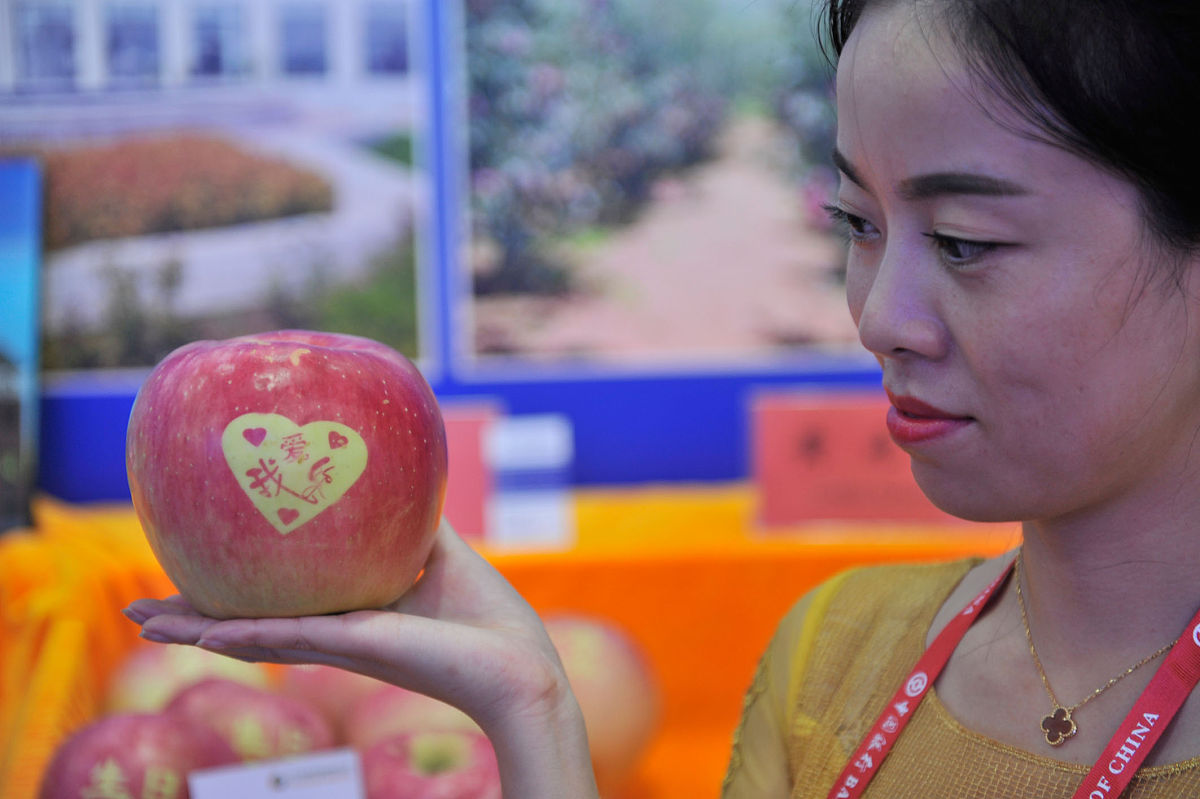 南宁2022年初中生可以去学卫校吗