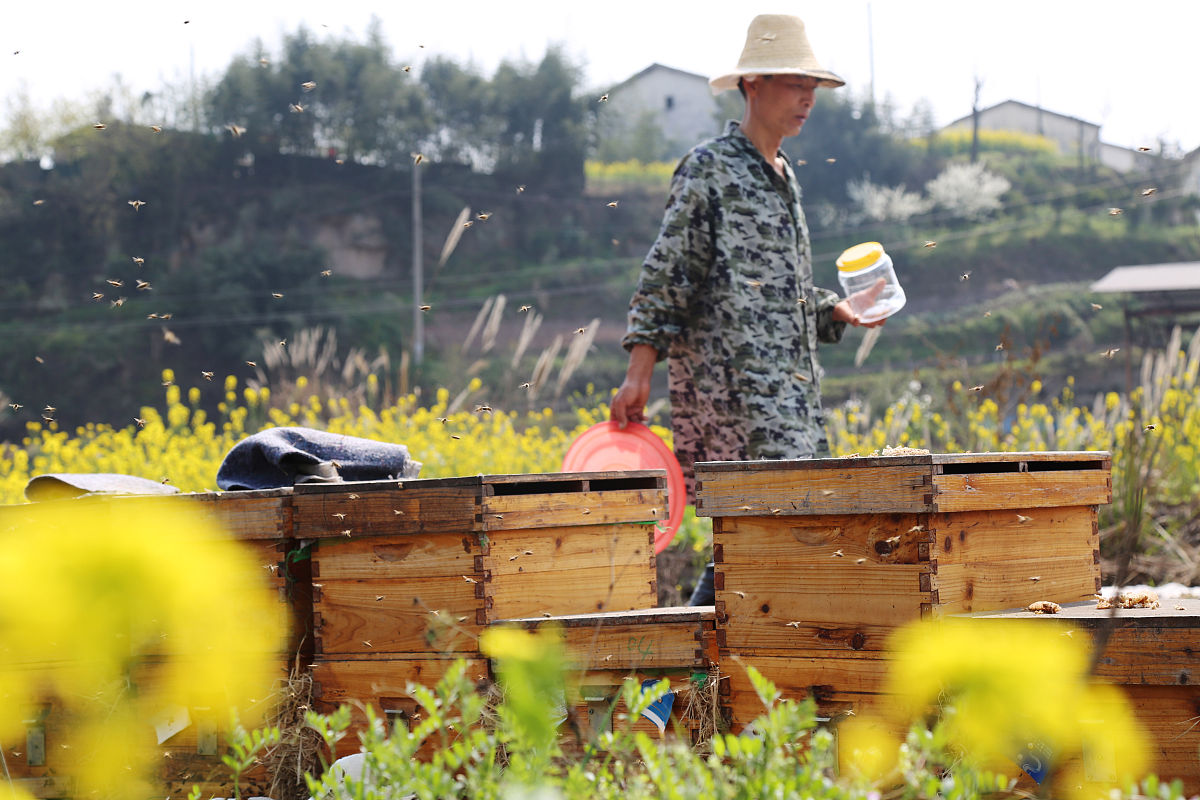 达州远航职业技术学校2019 年学校招生专业及计划