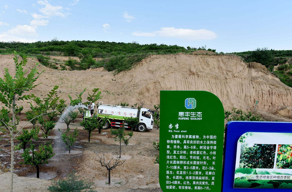 绿色矿山建设经验总结：可持续发展之路