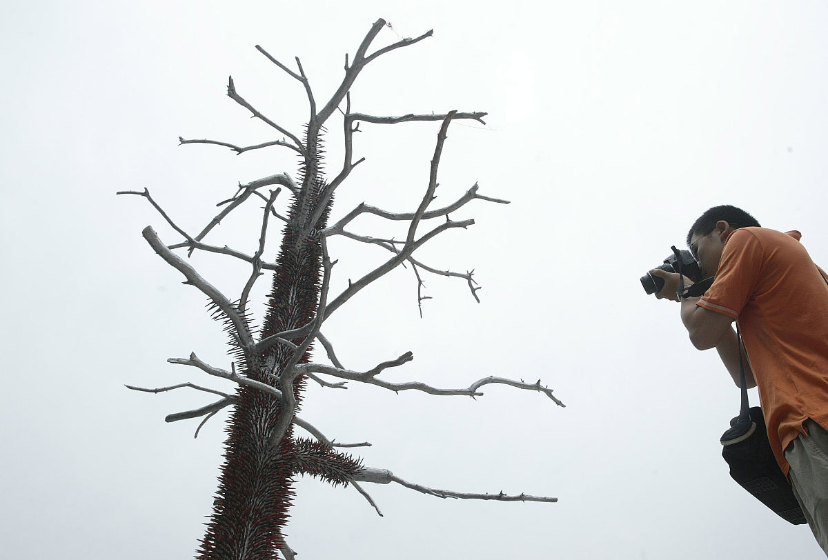 以人与自然和谐共生现代化的哲学研究为题目写一篇4000字课程论文