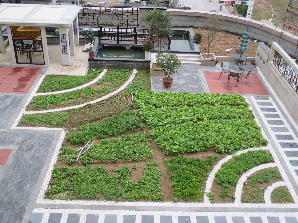 你是一位景观设计师如果你现在面对的是一位没有读过书的农民企业家他的特点是不讲道理和不相信科学只相信他自己的主观判断。他要你用最少的钱——最好是不花钱——为他开发的楼盘做景观设计你会怎么做？