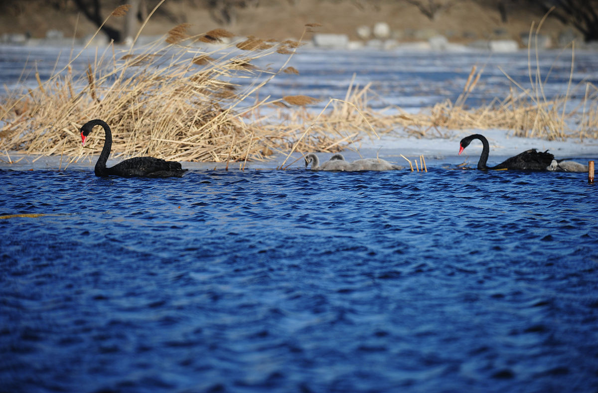 湖北生态工程职业技术学院2022年招生简章 - 生态环保专业领跑