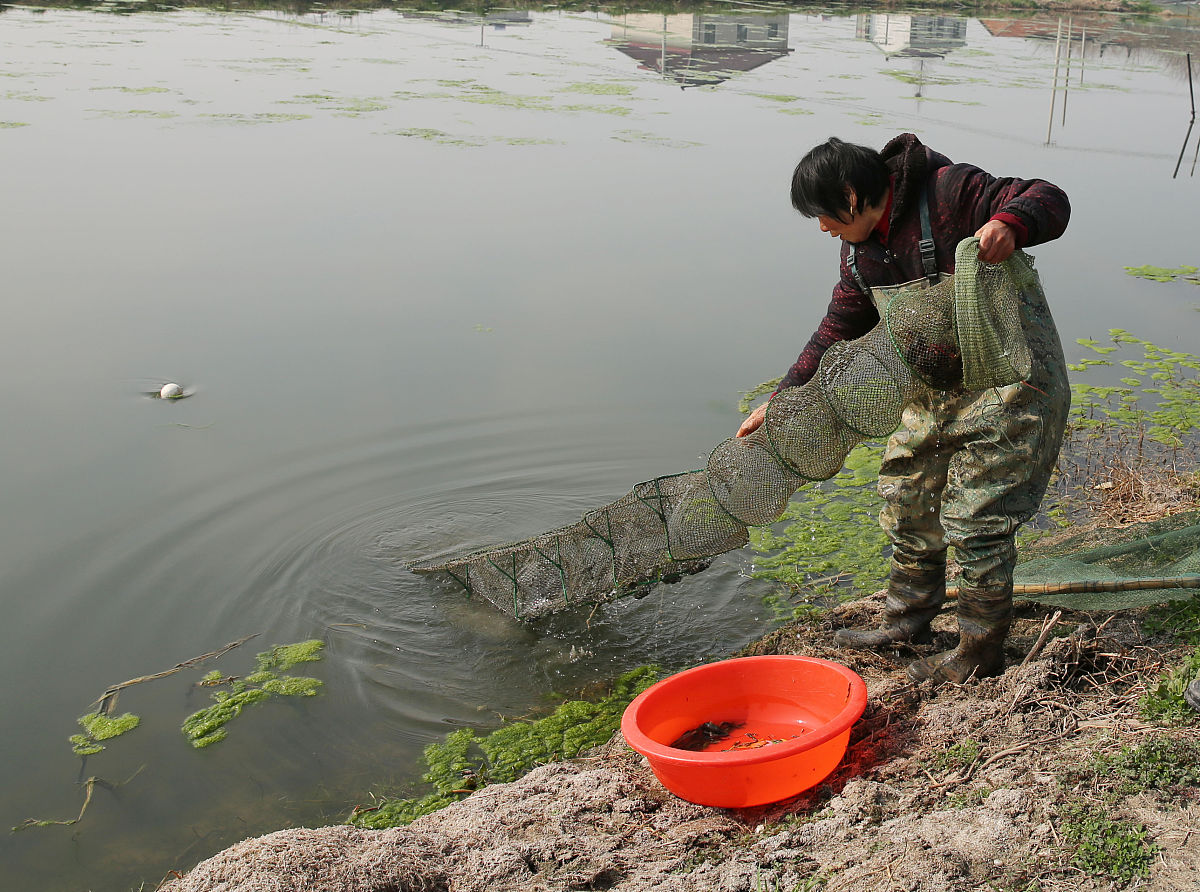 如果我想钓龙虾我该怎么去寻找有龙虾的地点？