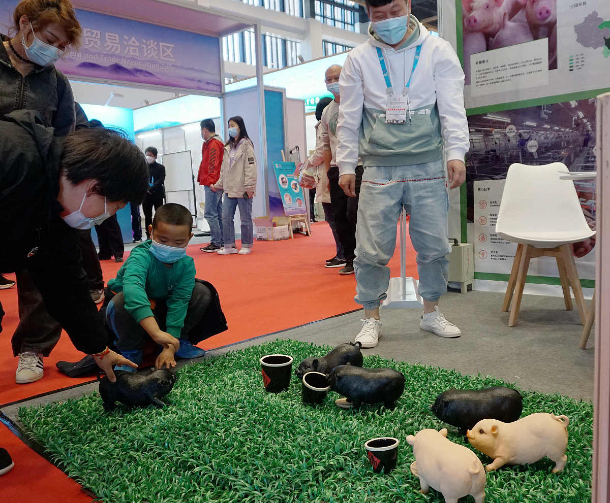 品质生活与金钱无关与什么有关呢回答加拓展。