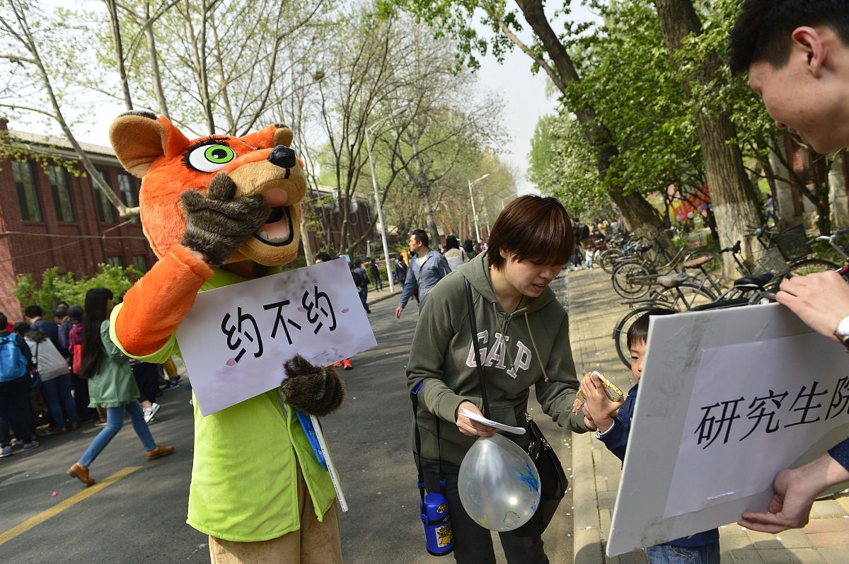 写一个朱迪兔子和尼克狐狸积木文案300字