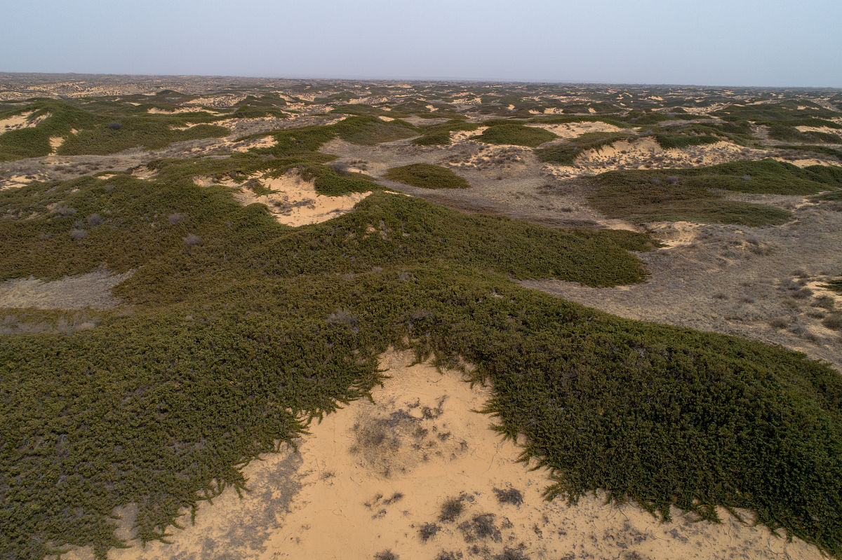 如果我们在撒哈拉沙漠中间挖一条河道造一个巨大的人工湖泊会发生什么？