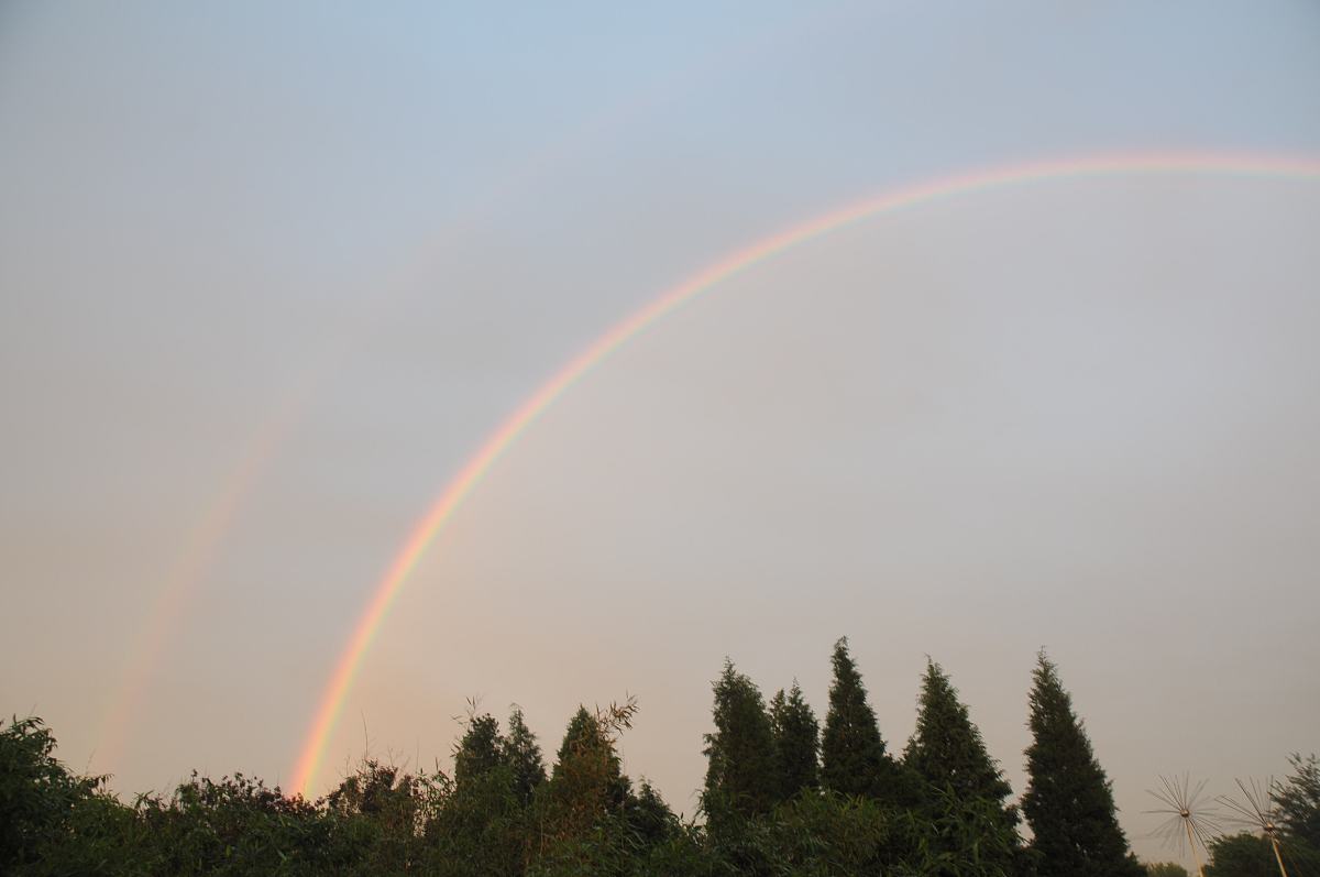 东猎西渔是什么意思