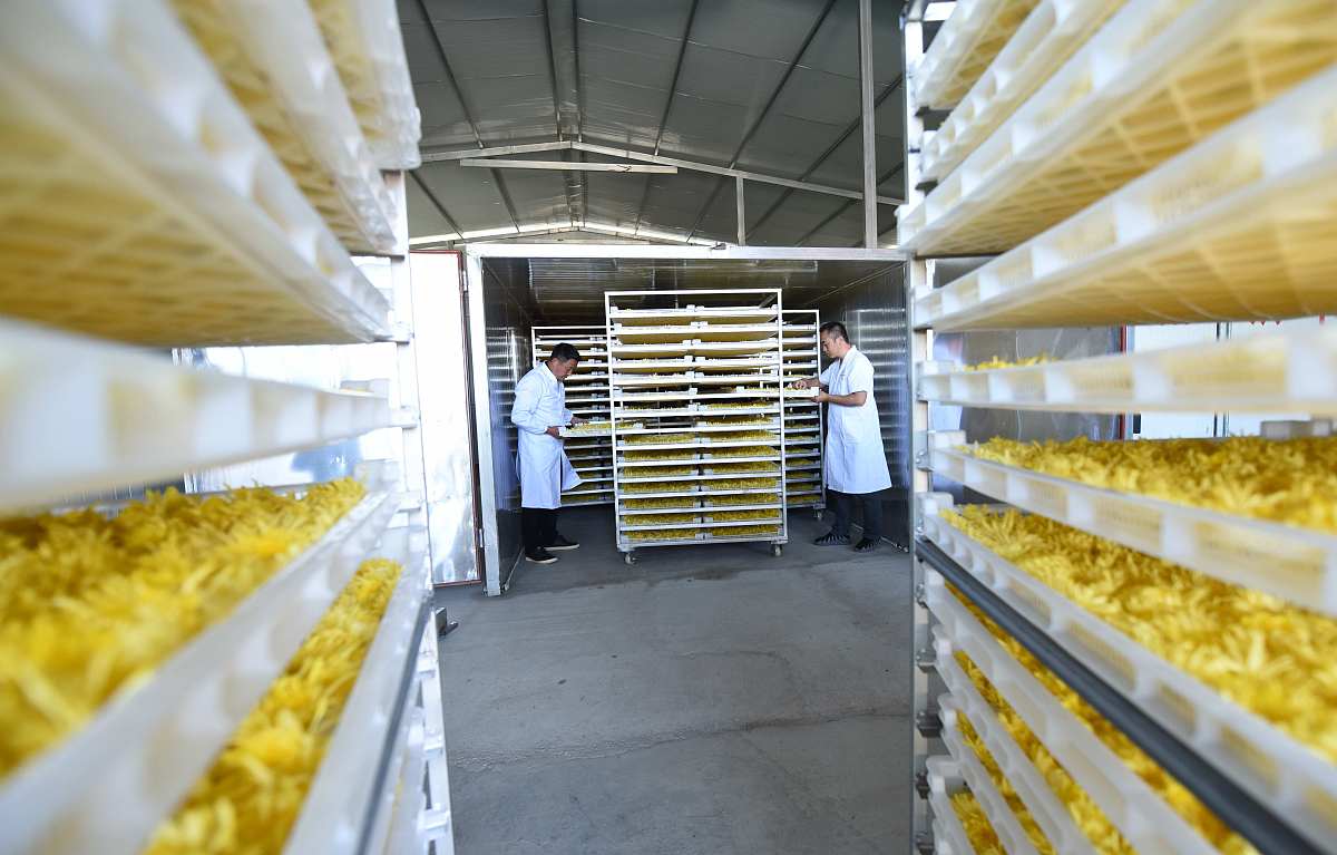 铜仁幼儿师范高等专科学校2019年招生简章