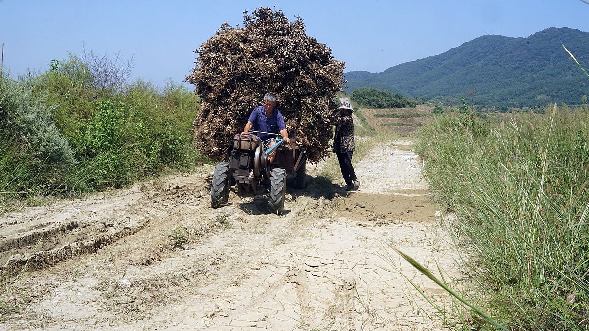 河南省泌阳县什么时候开学