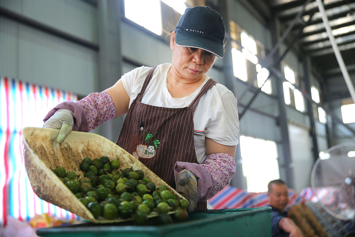 广西农业职业技术学院食品药品监督管理专业实践教学模式创新