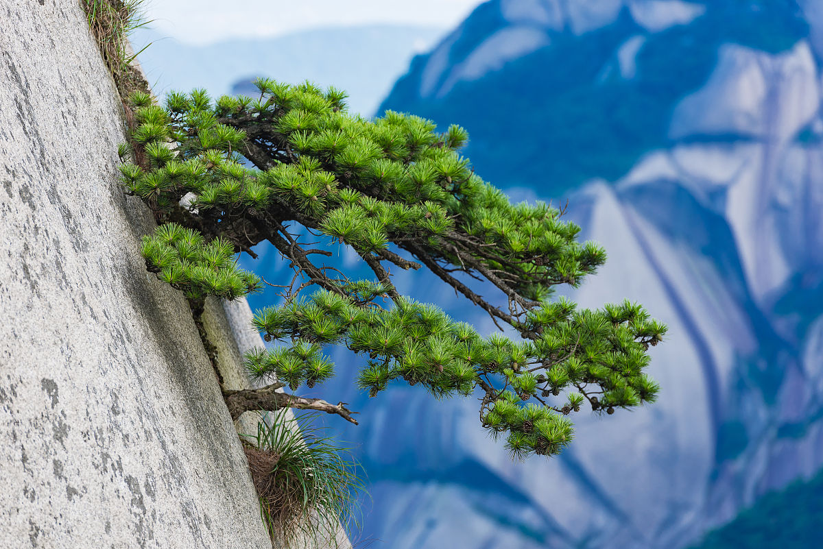 2018年8月6日,安徽安庆,天柱山.天柱山因主峰如"一柱擎天"而得名,有 "