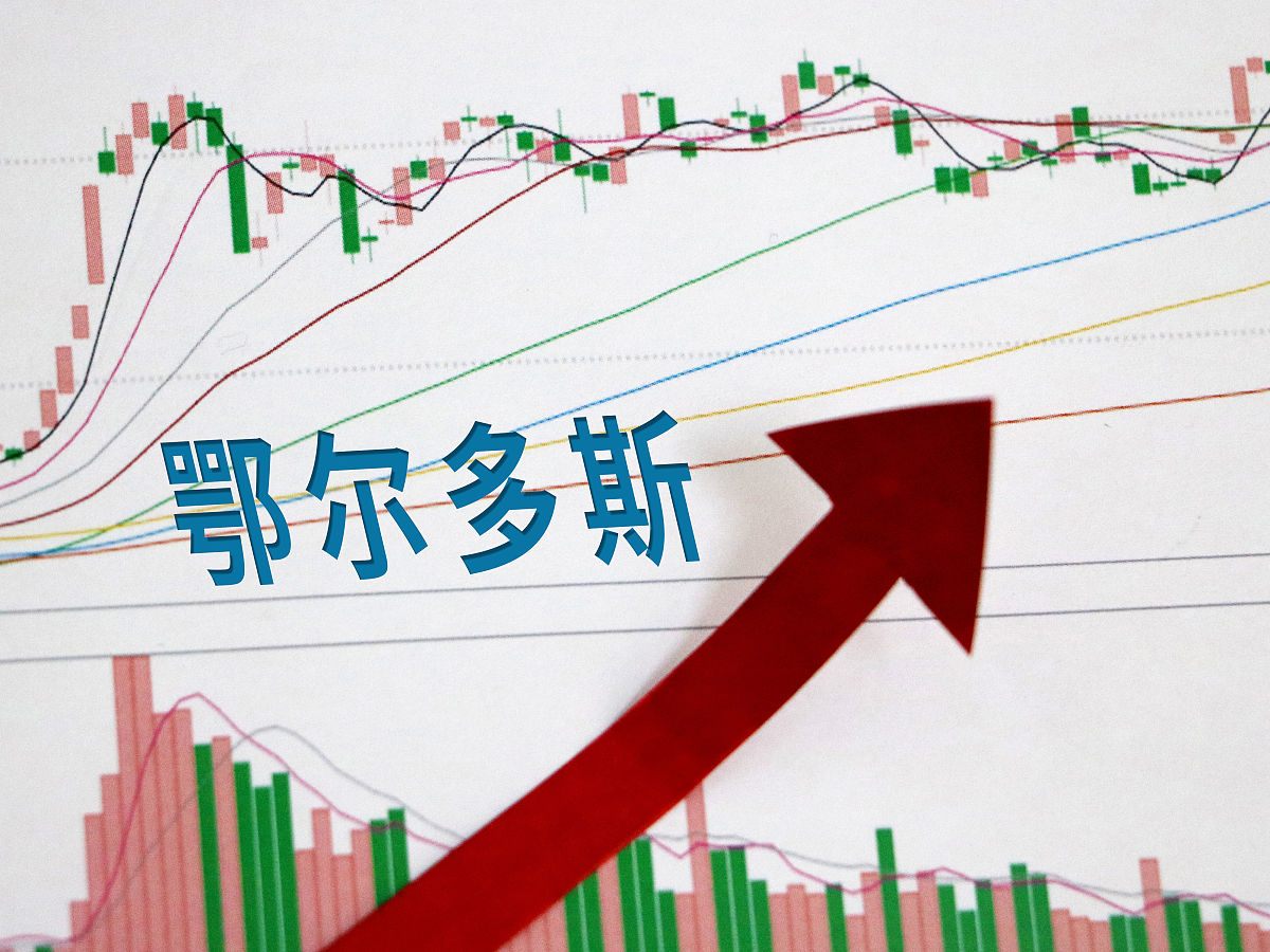 鄂尔多斯拖欠工资怎么办？解决指南与维权途径