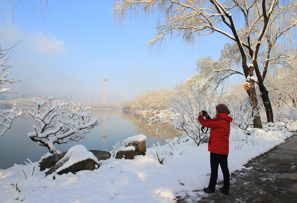 雪景作文：银装素裹的冬日奇观