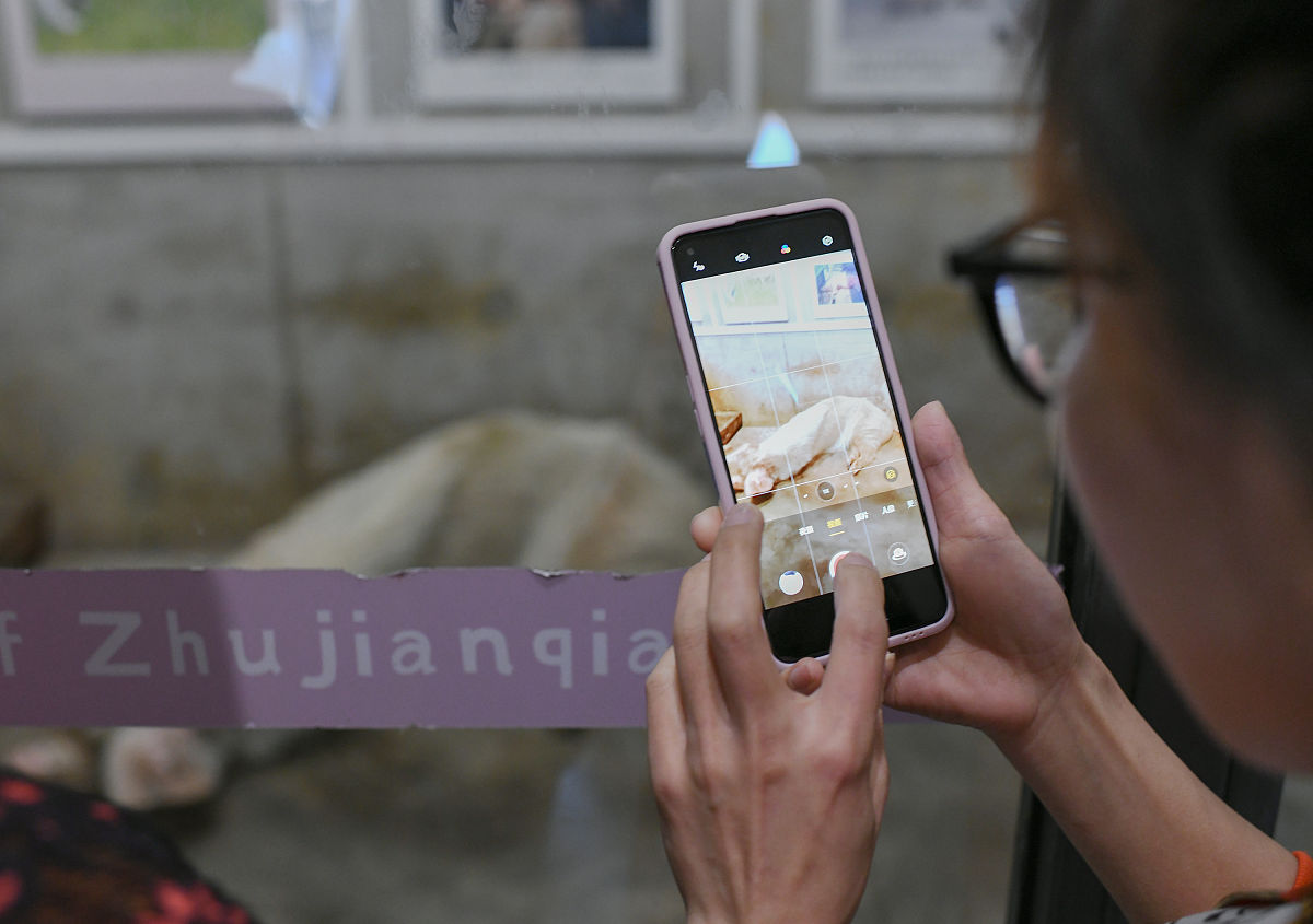 翻译到英语：拍照打卡