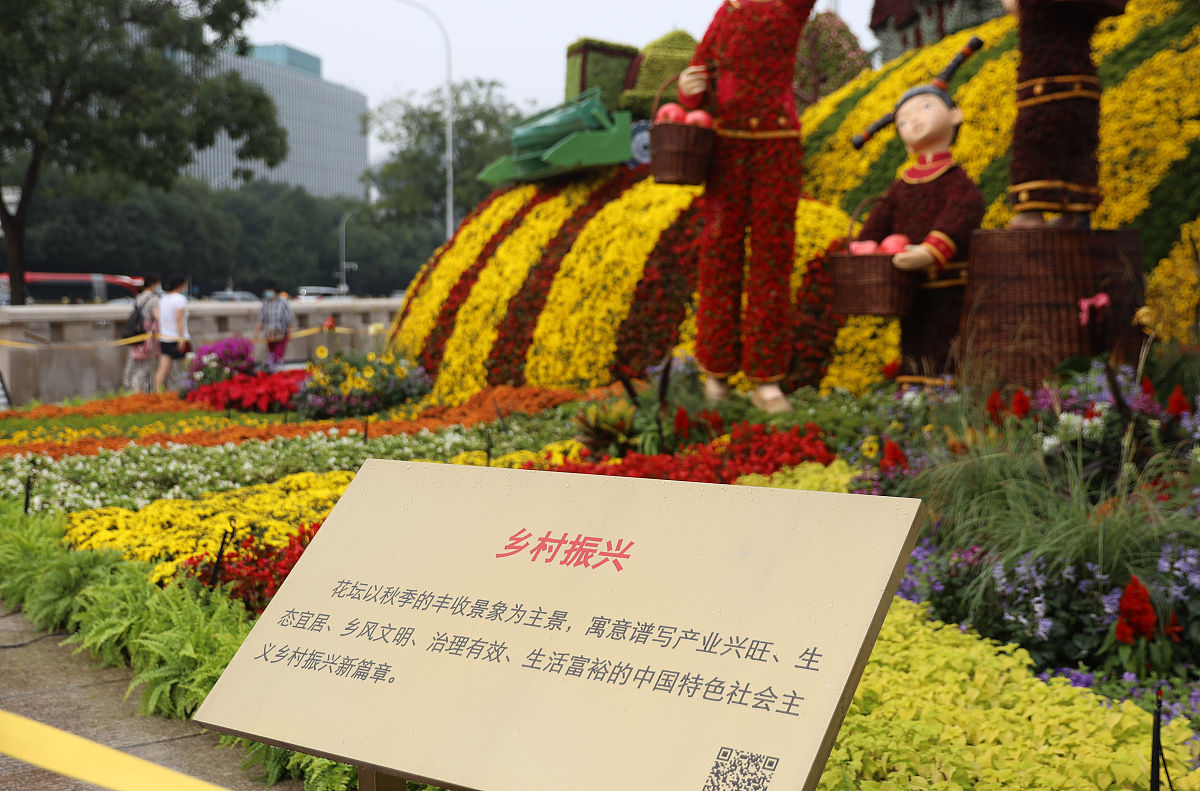 延安市宝塔区农村劳动力就业问题研究：基于乡村振兴战略