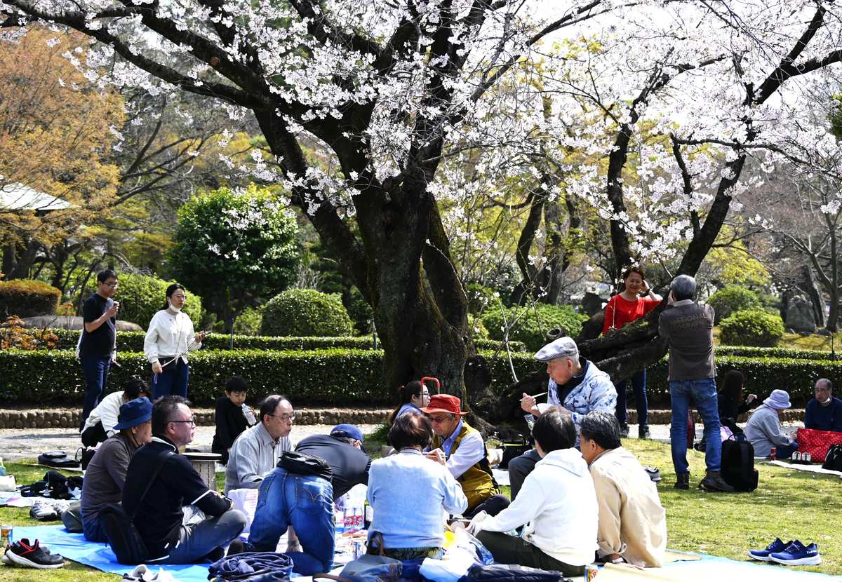 当地时间2026年3月29日,日本名古屋,民众在名古屋城尽