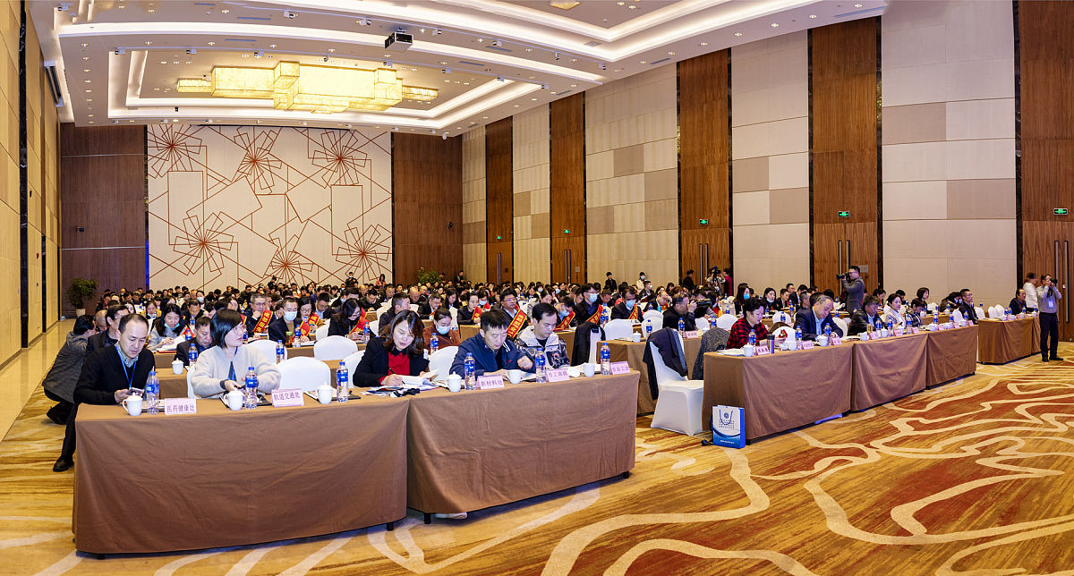 一篇4000字 医院总结表彰大会的项目管理案例分析