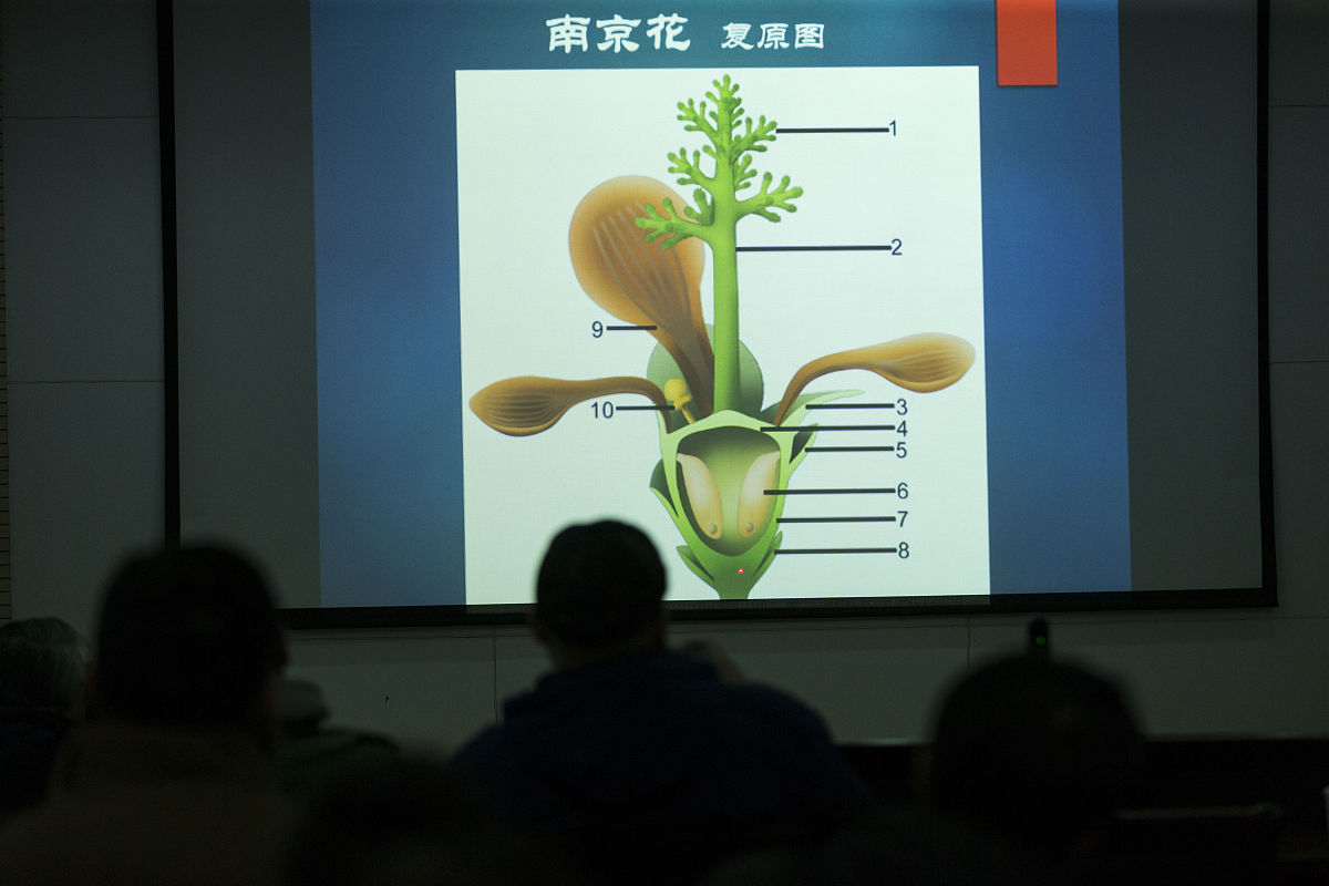 地质技术与地质环境工程期刊：研究论文、创新和国际合作