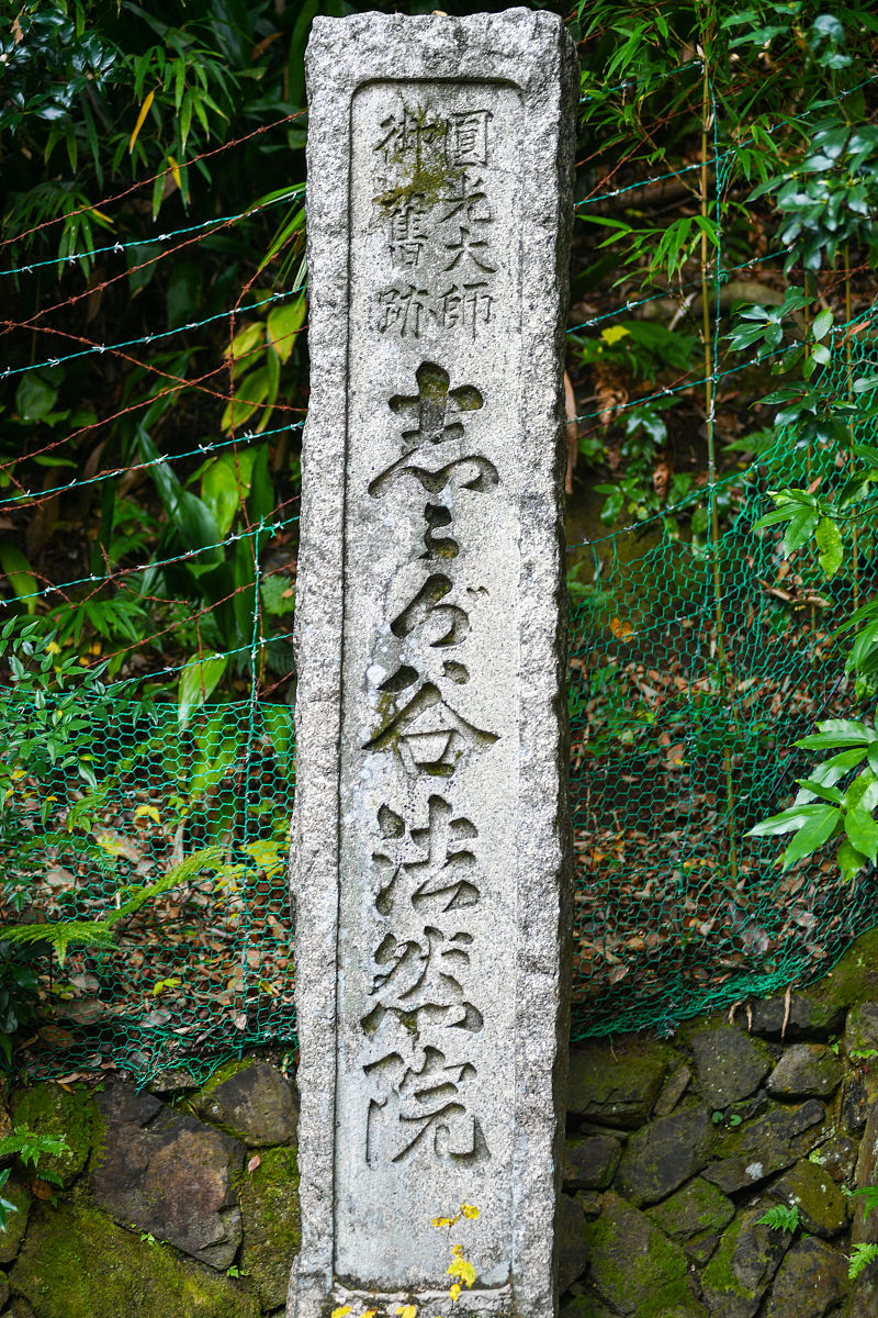 2019年11月24日,日本京都,位于东山脚下的法然院内外被红叶染红,秋景