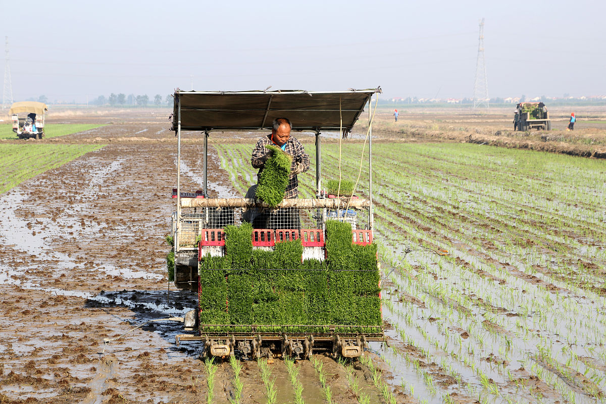 写一篇延长县农业及机械化推广过程中缺乏完善的农业推广机制问题分析结合延安市延长县实际情况进行论述。