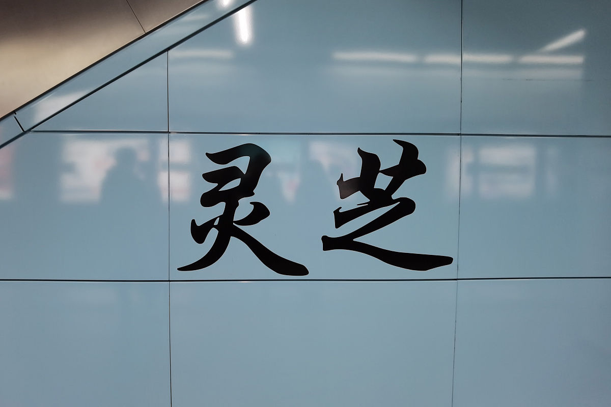 2021年2月4日,深圳,实拍充满"好运"地铁站站名.翻身,灵芝,锦鲤,吉祥,