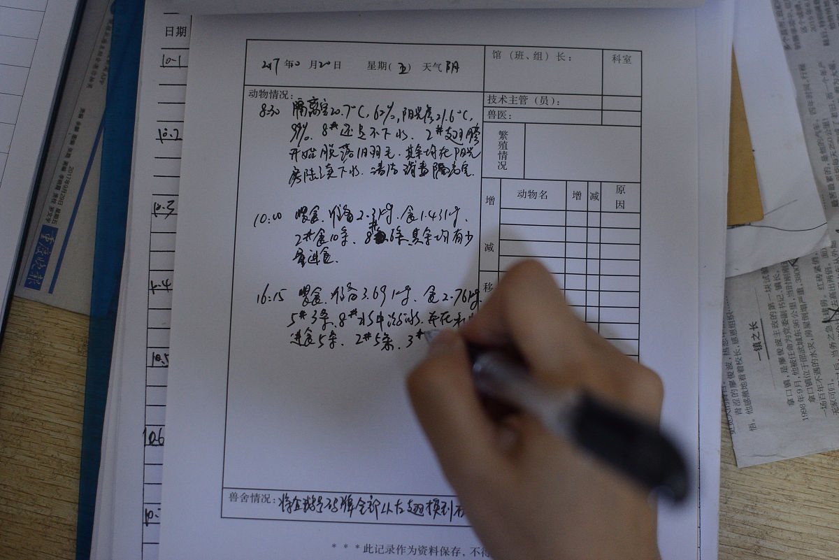 房建施工员工作日志：2021年6月1日 - 忙碌的一天