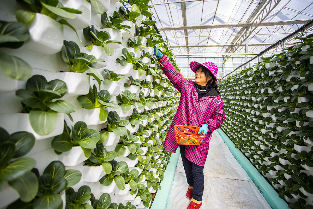 大理科技管理中等职业技术学校 - 培养电子、机械、计算机领域技术人才