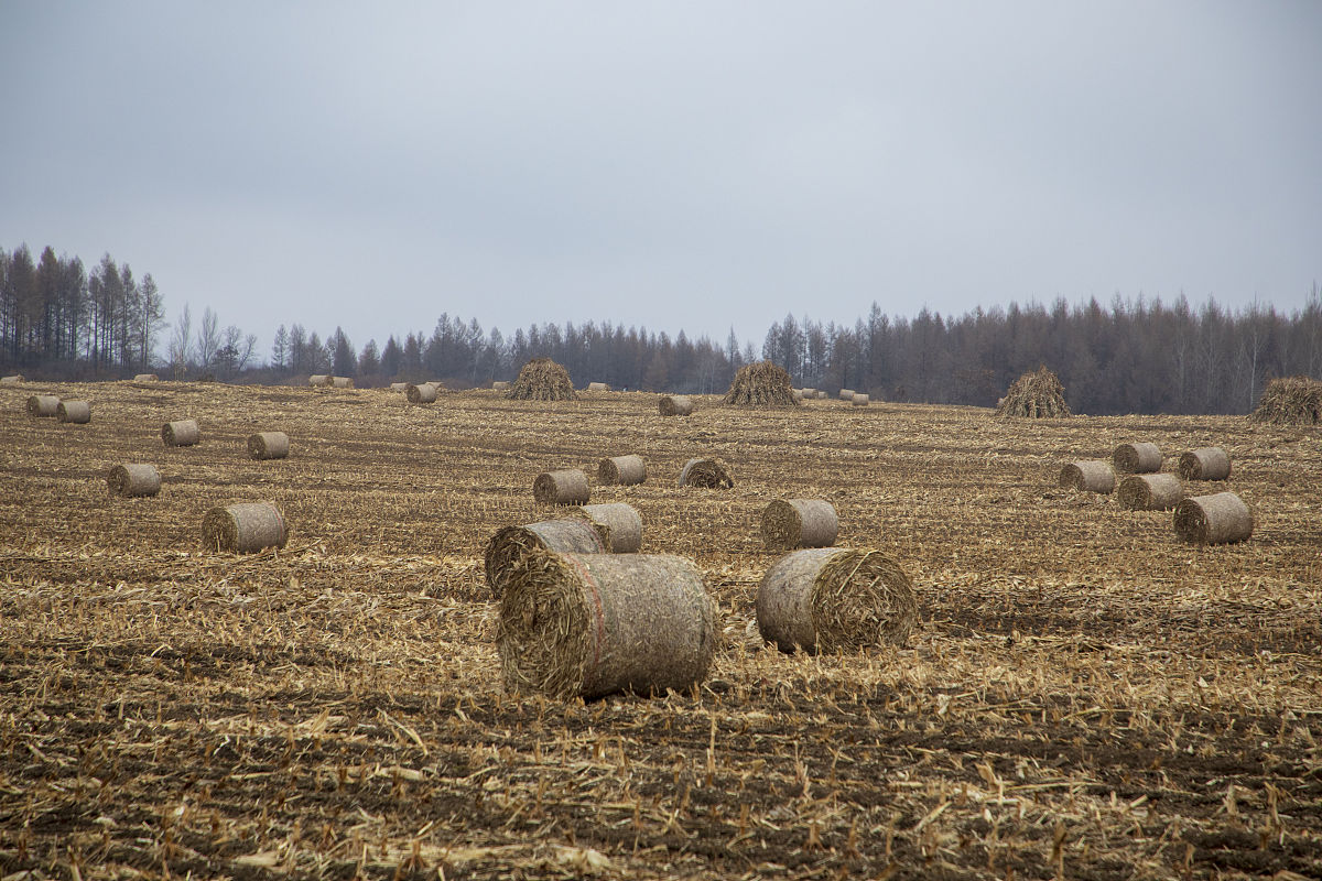 成县职业中等专业学校2021年多少分能报考