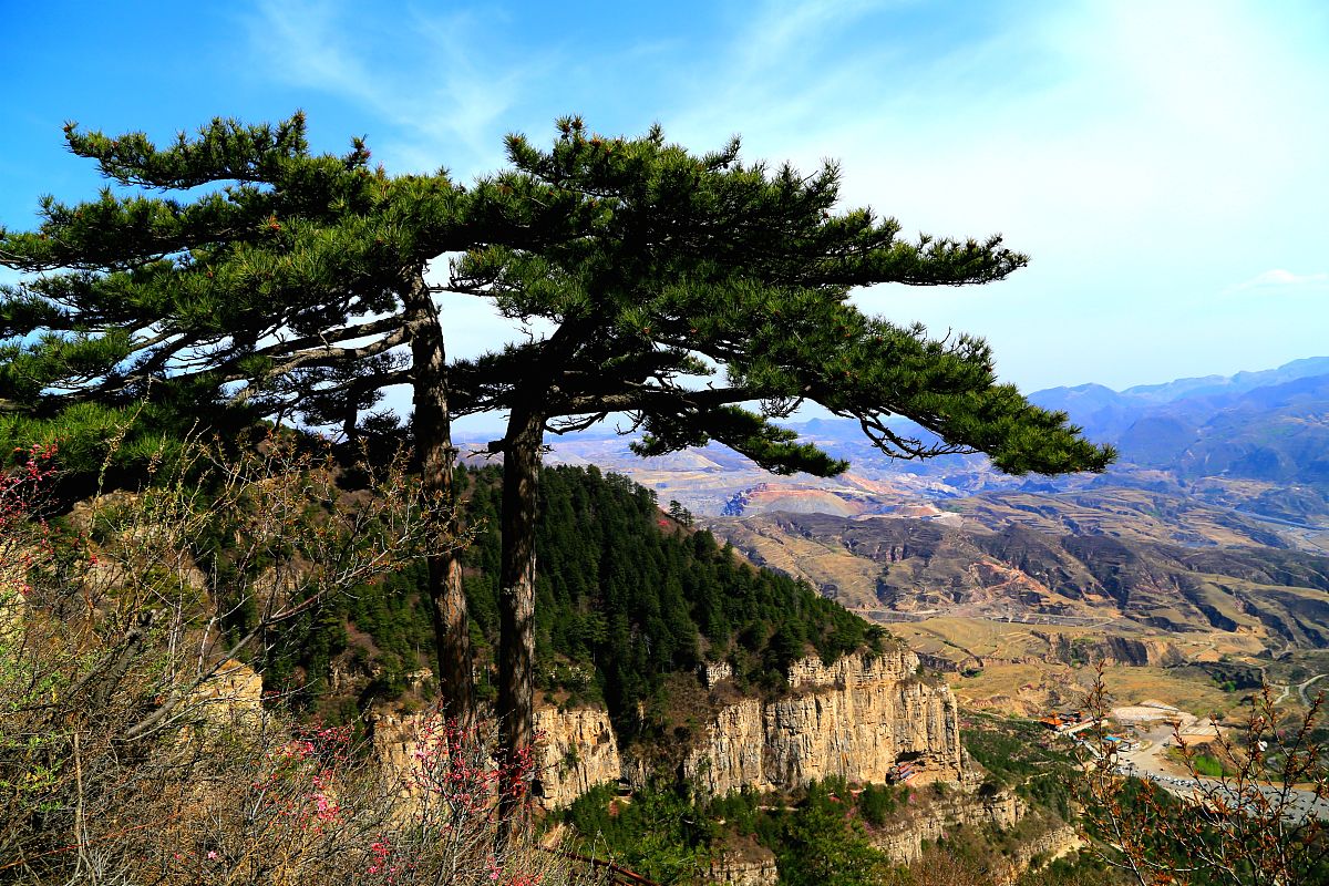 黄河之水天上来，寿比南山不老松：自然壮丽，生命永恒