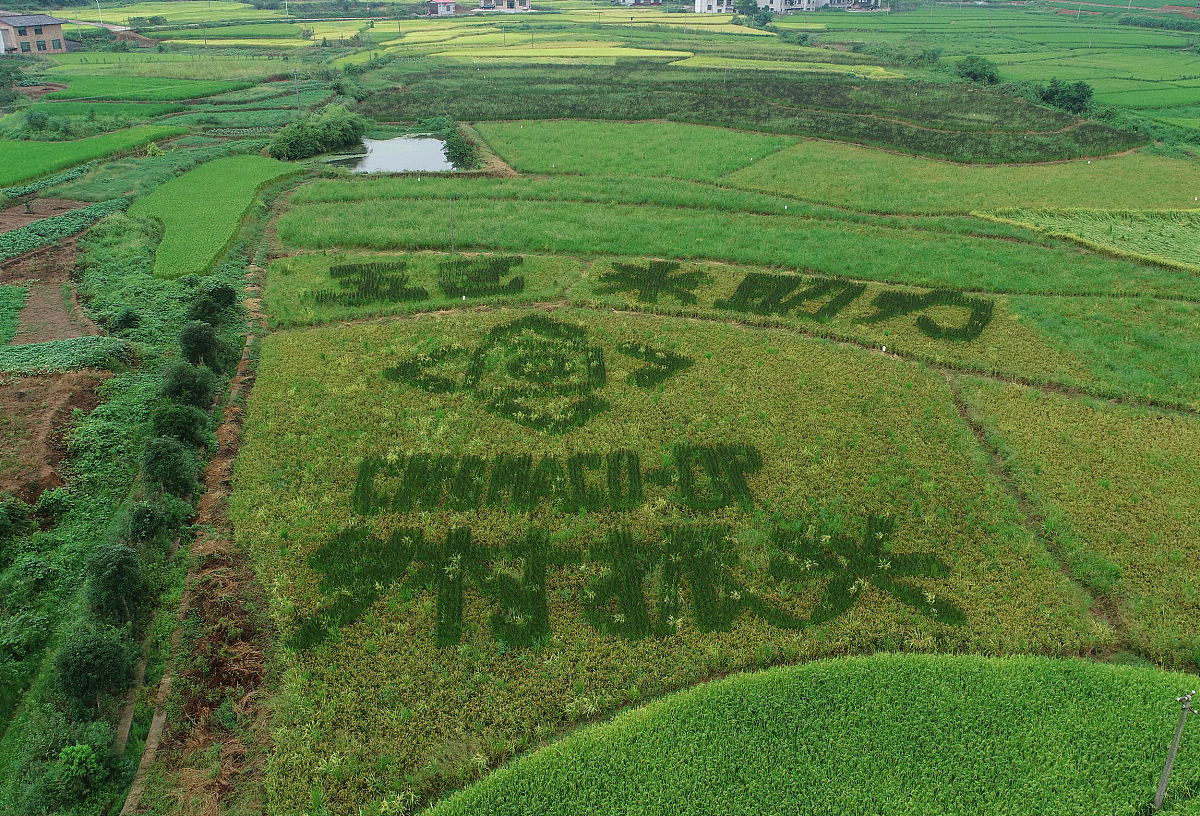 四川男生读艺术教育专业好吗？就业前景分析