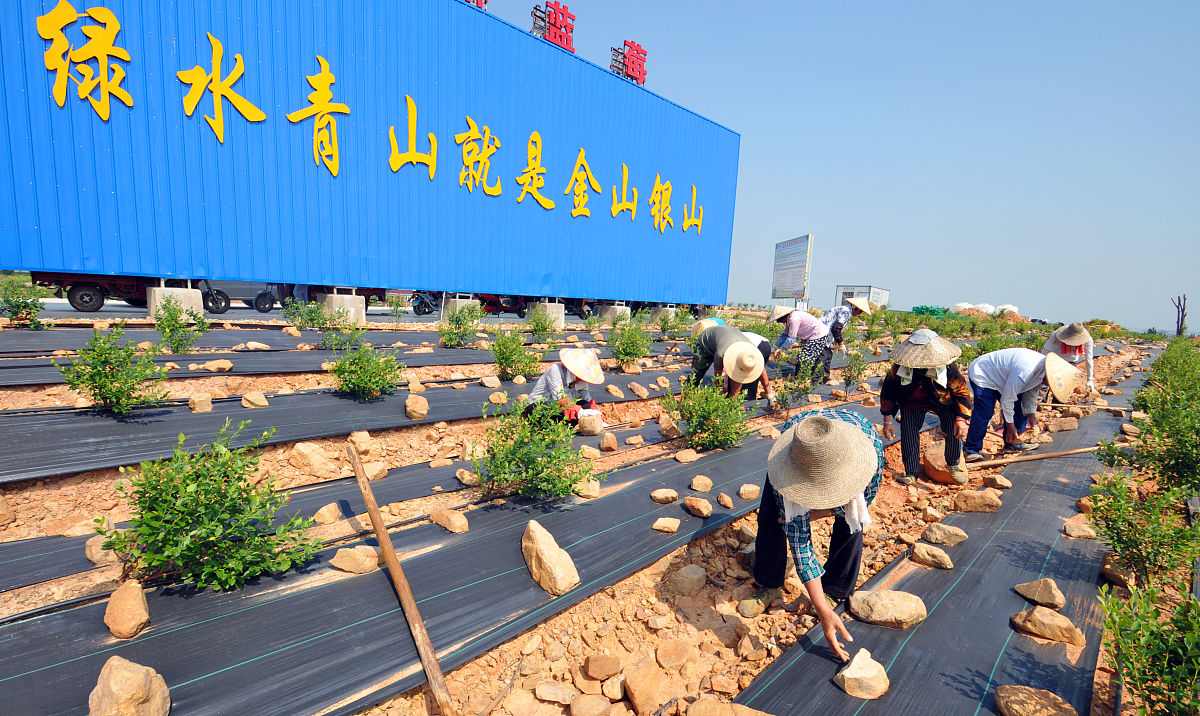 怀宁到合肥多少公里