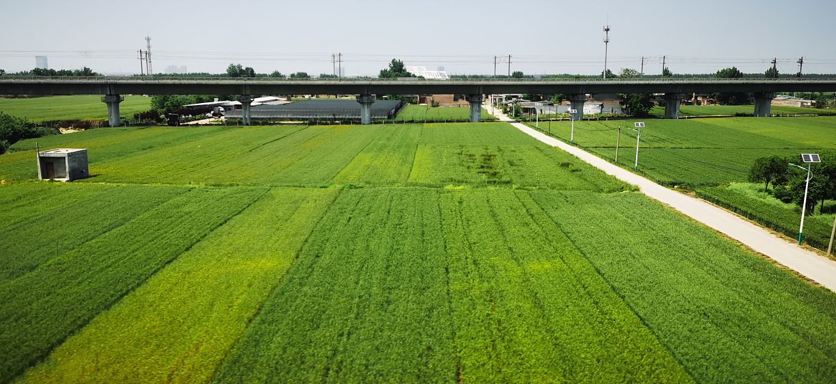 西安铁路高级技工学校铁道信号专业：招生条件、课程设置和就业前景