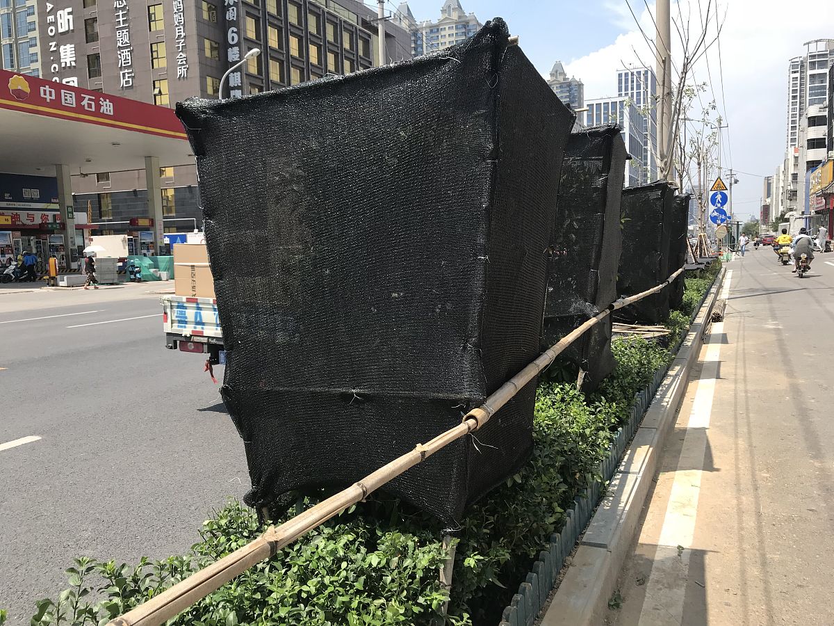 明天回来啦？回来体验济南的高温啦这句话应该怎么回复比较恰当