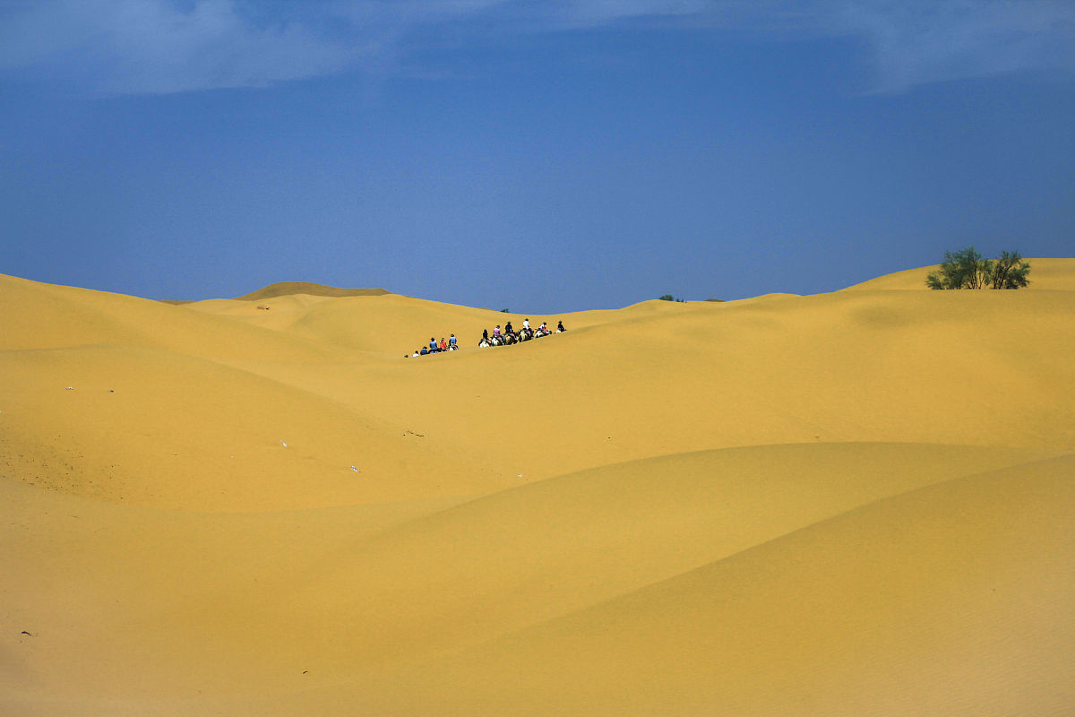 宁夏工商职业技术学院五年制大专2022年招生要求