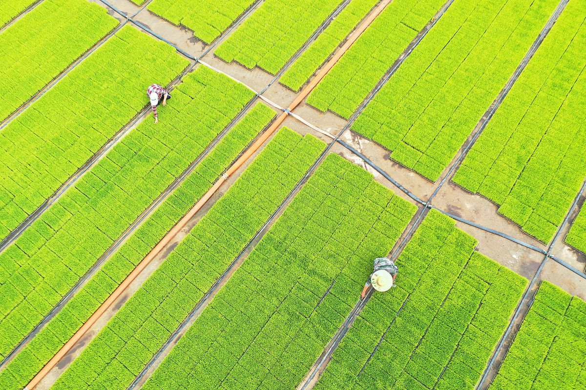 安徽科技学院 刘壮 教师 - 职称、研究方向查询