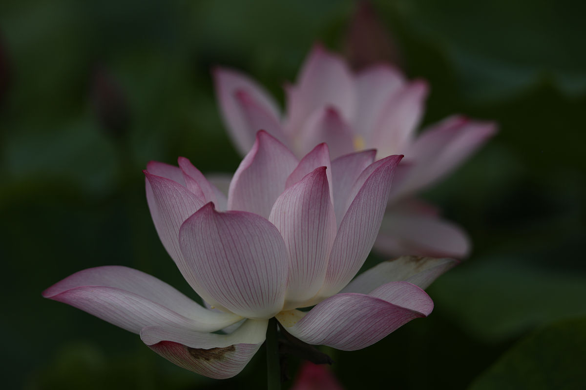 衡阳市技校招生网衡阳中职招生网