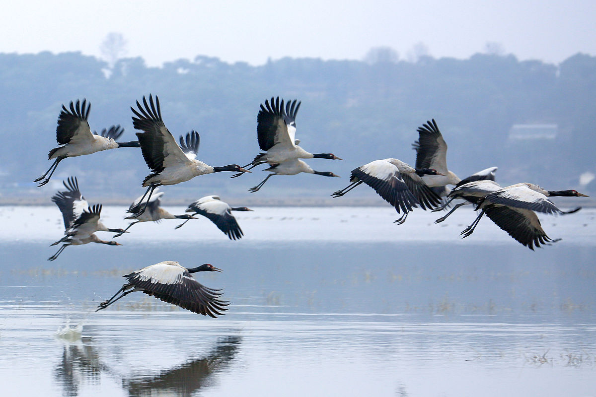 毕节中专学校学费：一年的费用是多少？