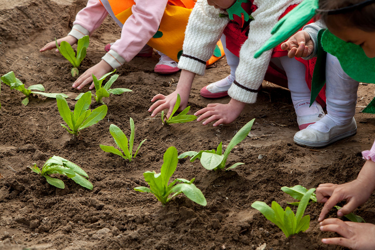 湖南幼儿师范高等专科学校英语教育专业就业前景如何
