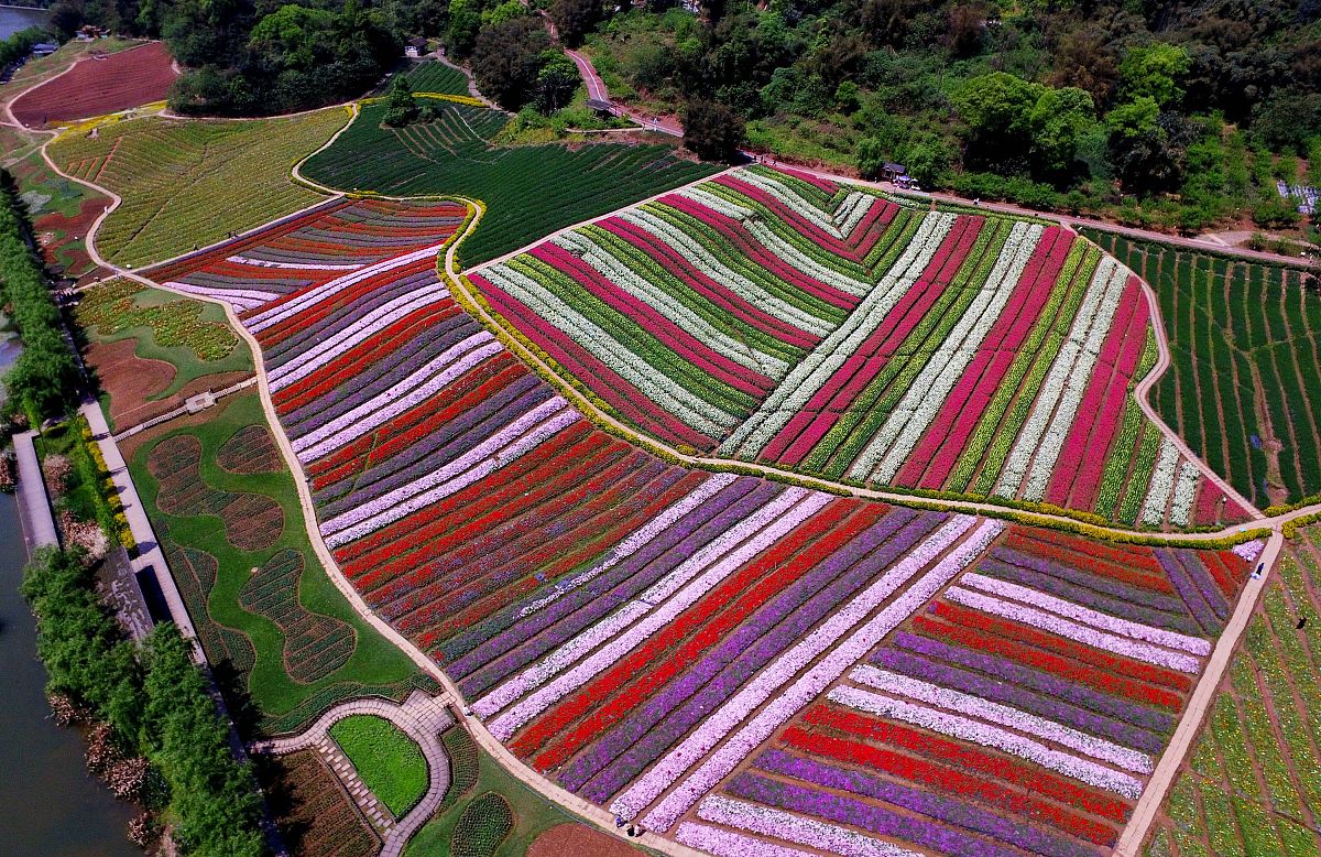 文章内容是四川泸州电力和资质办理和转让字数
