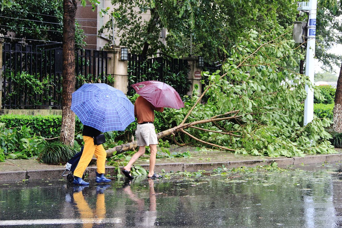 下雨天没去乡里，如何高情商回复同事？