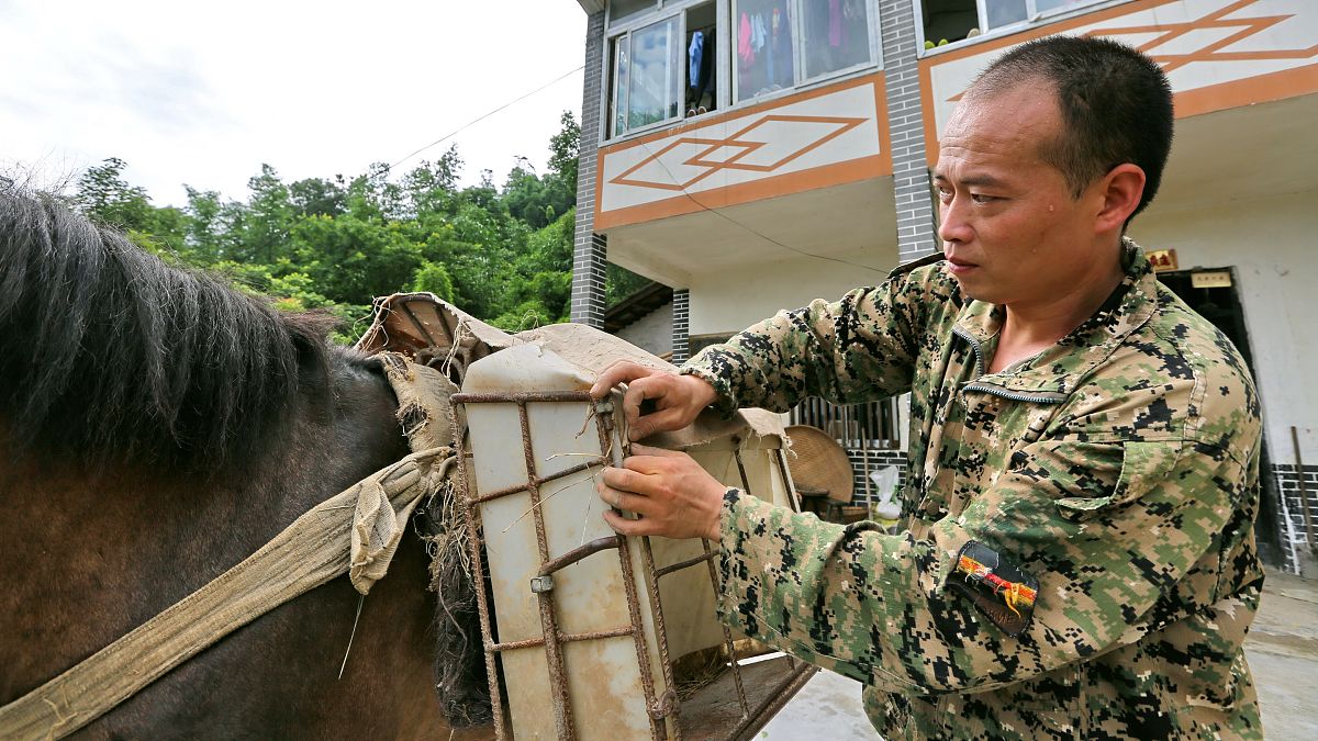 重庆运输职院产品艺术设计专业招生指南